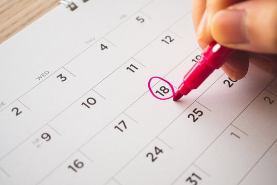 Calendar Icon